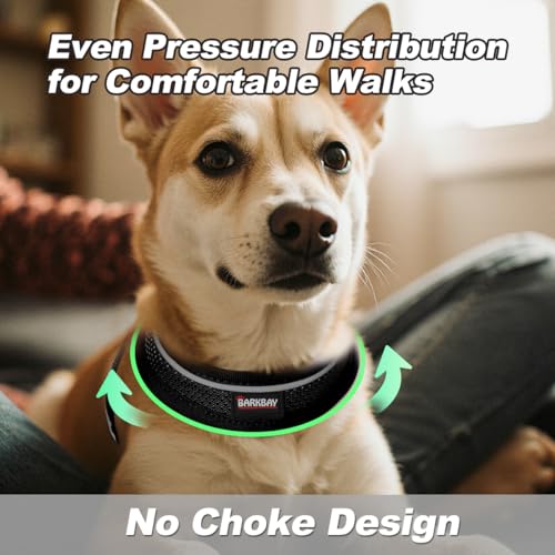 Dog Harness and Leash Set,Step in Small Sized Dog Harness,Soft Mesh,No-Chock,Reflective Adjustable,Secure with Hook & Loop...
