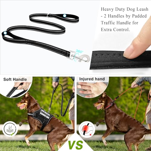 Service Dog Harness and Leash Set, Training Dog Vest with 10 Dog Patches, Emotional Support Therapy Dog Vest Harness for S...