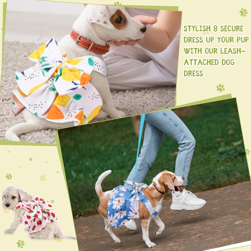 Bulyoou 3 Pieces Dog Harness Dress and Leash Set Cute Female Dog Dresses Assorted Styles Puppy Clothes Breathable Polyeste...