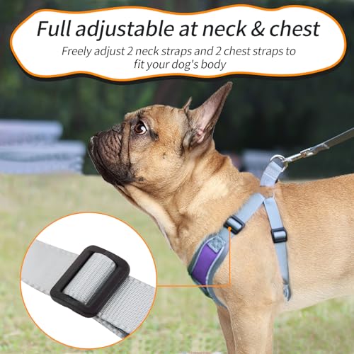 Dog Harness with Leash Set, No Pull Adjustable Step in Collars Harness with Breathable Padded Vest for Small Dogs Training...