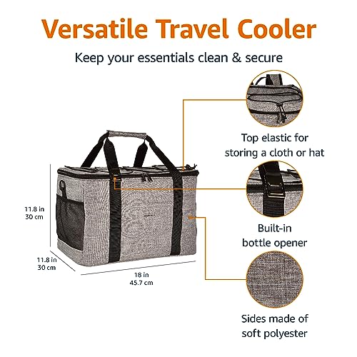 Amazon Basics Soft Insulated Cooler