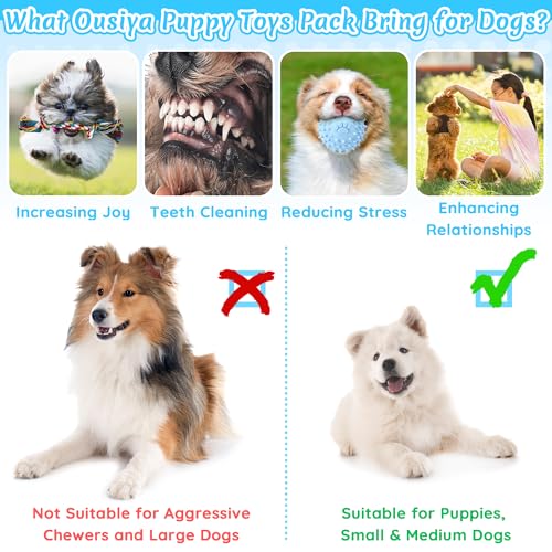 Ousiya 12 Pack Puppy Teething Toys Set - Small Breed Chew Toys with Storage Case, Suitable for Puppies 8 Weeks