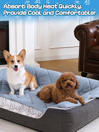 40x60in Large Cooling Blanket for Dogs - Machine Washable Soft Blanket with Q-MAX>0.4, Fits Medium Large Dogs, Summer Cool...