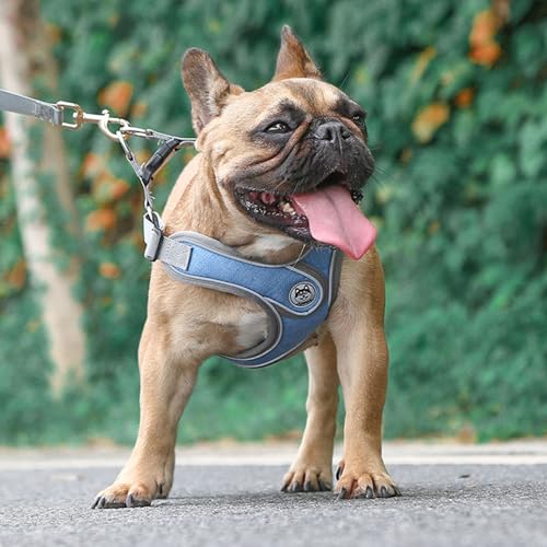 Medium Dog Harness and Leash Set,No Pull Adjustable Step in Soft Mesh Vest Harness,Easy Walk Reflective Pet Harness with P...