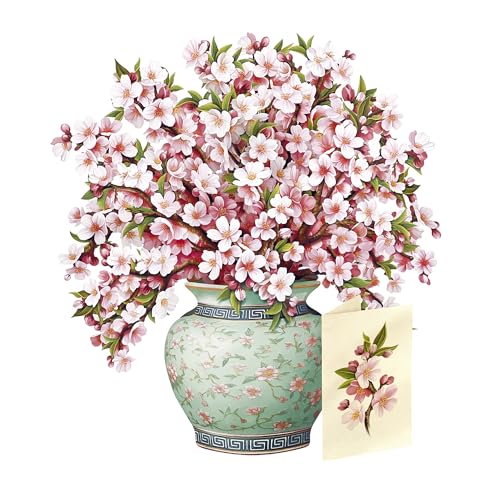 Freshcut Paper Japanese Cherry Blossoms 12 Inch Life-Sized 3D Pop Up Card – Greeting Card, Birthday, Mothers Day, Thank Yo...
