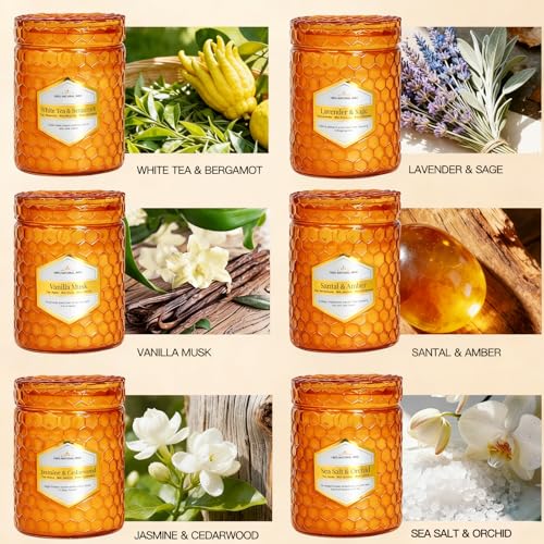 6 Pack Amber Glass Scented Candles for Home Scented, 5.5 Oz Each Soy Wax Candles, Lavender Sage Candles, Luxury Home Decor...