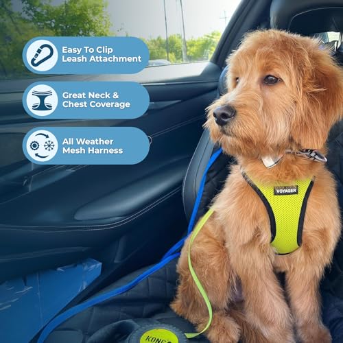 Best Pet Supplies Voyager Step-in Air All Weather Mesh Harness and Reflective Dog 5ft Leash Combo with Neoprene Handle, fo...