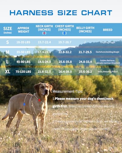 Dog Harness for Large Dogs Heavy Duty, No Pull Tactical Dog Harness with Molle System, Easy On and Off Service Dog Vest, B...