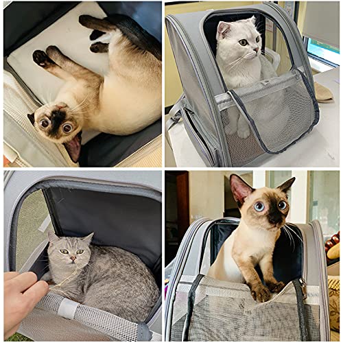 Texsens Pet Backpack Carrier for Small Cats Dogs | Ventilated Design, Safety Straps, Buckle Support, Collapsible | Designe...