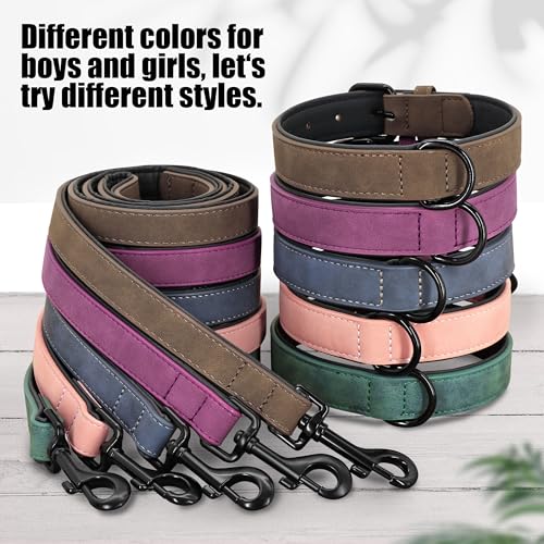 Didog Soft Padded Leather Dog Collar and Leash Set, Adjustable Dog Leash and Collar Set with Metal Buckle, Breathable Dog ...