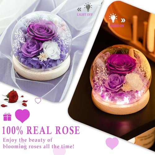 FIACO Gifts for Women Mom Mothers Day Birthday Preserved Flowers in Glass Dome Forever Fresh Flowers for Delivery Eternal ...