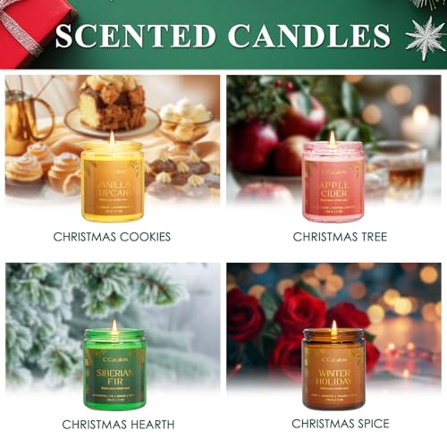 Winter Scented Candles, Holiday Candles for Home, Aromatherapy Soy Candles Gifts Set for Women Men, Vanilla/Fir/Apple Cide...