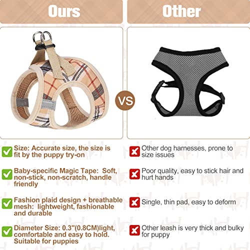 BEAUTYZOO Small Dog Harness and Leash Set,Step in No Choke No Pull Soft Mesh Dog Harnesses Reflective for Extra-Small Medi...
