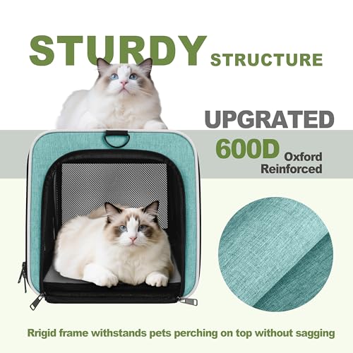 GAPZER Cat Carrier 18"x11"x11" TSA Approved Ventilated Top Open Softsided Pet Air Travel Bag, Small Animal Basic Crate Shi...