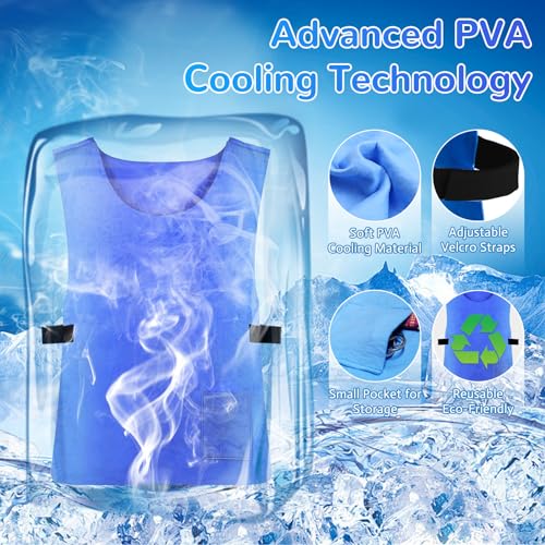 DWSFADA Ice Cooling Vest for Men Women, Reusable Adjustable Cold Coat Fabric Sport Cool Vest Body for Cycling, Running Out...