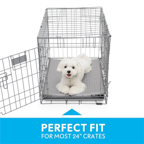 Paw Inspired Cooling Orthopedic Crate Pad for Dogs and Cats, Washable Memory Foam Dog Cooling Mat (23x17 Inch XS/Small Siz...