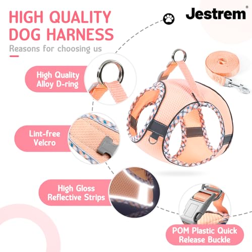 XXS Cat Harness and Leash Set - Breathable Mesh Vest with Reflective Strips, Escape-Proof Harness with No-Choke Design Sec...