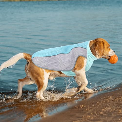 Dog Cooling Vest for Summer, Breathable Mesh Cooling Shirt Jacket for Dogs Summer Heat Relief, Lightweight Cooling Dog Har...