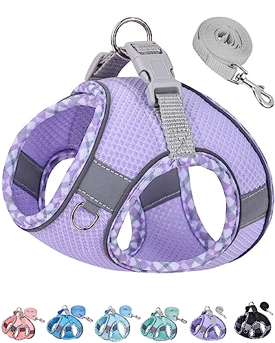 Petank Dog Harness for Small Medium Dogs No Pull, Puppy Harness and Leash Set, Step in Dog Harness for Walking, Running, T...