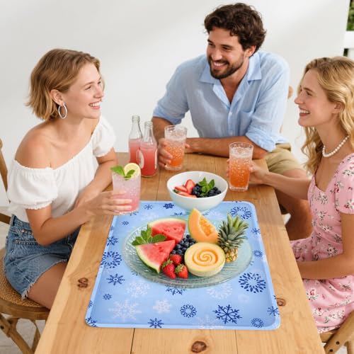 CODOHI 2 Pcs Reusable Freezable Ice Mat for Buffet Table Chilled Serving Tray Party 19.69 x 15.75 Inches Charcuterie Coole...