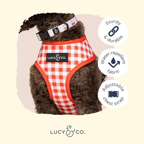 Lucy & Co. Cheery Cherries, Cute Reversible Dog Harness Walking Halter - Best Designer Pet Harnesses for XS - XL Dogs - Pa...