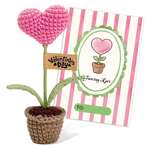 Mayvoro Handmade Crochet Heart Flower in Pot | Gifts for Mom, Mother Day Mom Gifts for Him Her, Valentines Day Card, Roman...