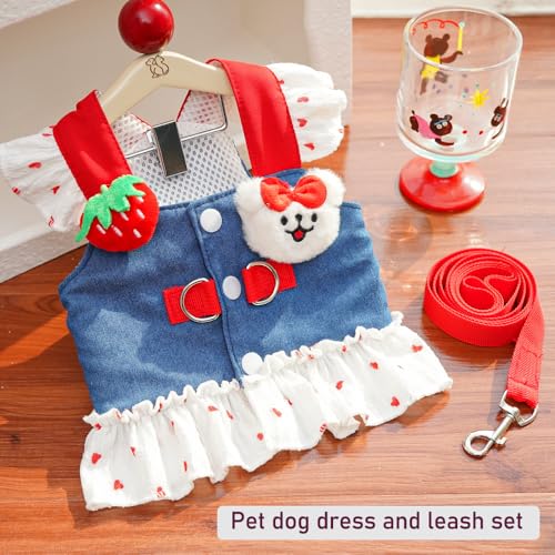 ANIAC Denim Dog Dress Harness with Leash Set Cute Small Dogs Clothes Girl Heart Patterns Puppy Dresses Breathable Mesh Cat...