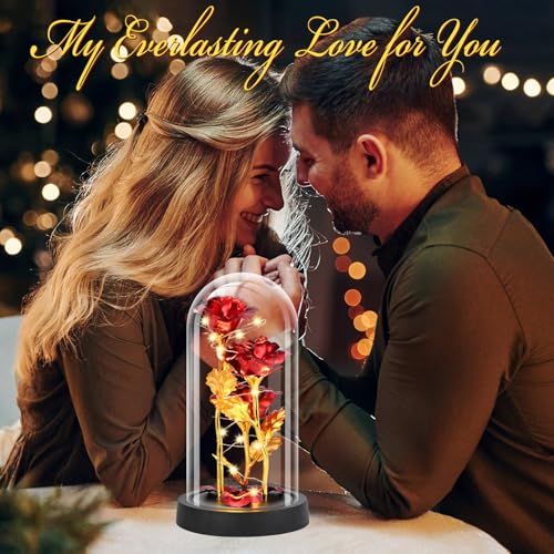 Tayfeim Gifts for Mom, Womens Gift for Birthday Gifts for Women Mom Wife Girlfriend, Light Up Rose in A Glass Dome, Rose G...