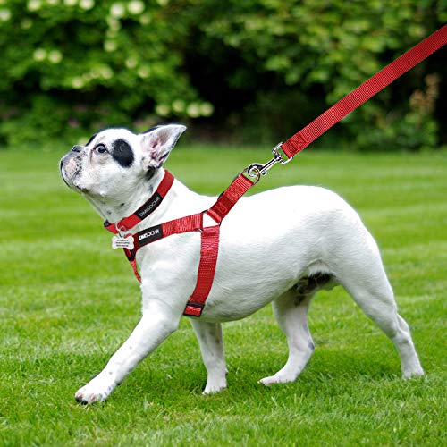 No Pull Dog Harness - Adjustable Step-in Harness & Leash Set for Small, Medium, Large Dogs - Escape Proof Soft Pet Harness...