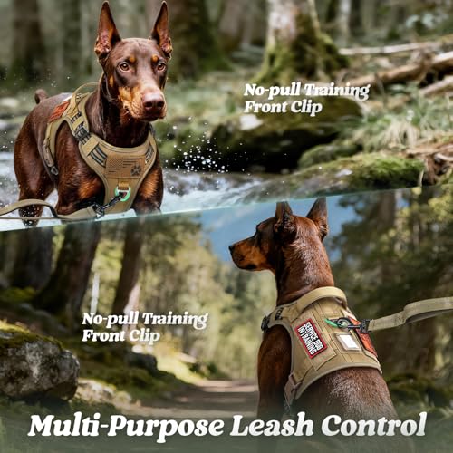 rabbitgoo Dog Harness for Large Dogs No Pull, Tactical Service Pet Vest with Molle and Control Handle, Adjustable and Refl...