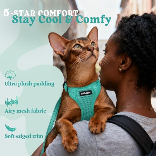 rabbitgoo Cat Harness and Leash, Escape Proof Vest with 3 Adjustable Buckles, Soft Comfortable Kitten Harness, Easy to Wea...