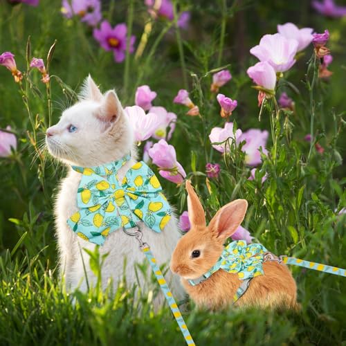 PAWCHIE Cat Harness and Leash Set with Bow Knot,Cats Escape Proof - Adjustable Daisy Floral Kitten Harness Soft Outdoor Wa...