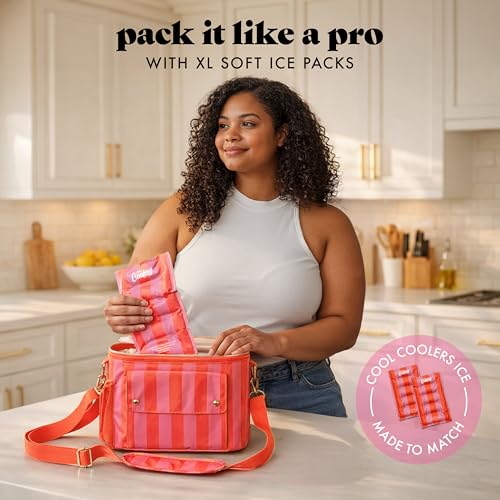 Fit & Fresh Sidekick Insulated Cooler Bag – Dual Compartment Leakproof Soft Sided Lunch Cooler, Small Cooler Bag with Cros...
