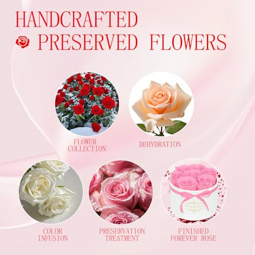 7 Forever Flowers in a Luxury Suede Box, Preserved Roses Birthday Gifts for Women, Romantic Anniversary Wedding Gifts for ...