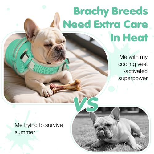 OUOBOB Cooling Vest for Small Dog,Lightweight Cooling Dog Jacket,Breathable Mesh Dogs Shirt Harness Vest with Adjustable S...