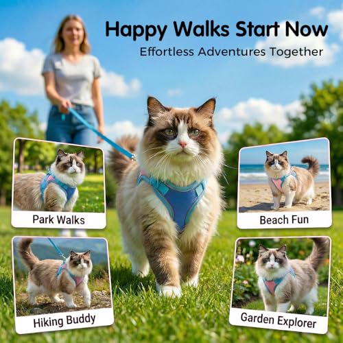 Cat Harness and Leash, Escape-Proof Cat Harness Set, Adjustable Step-in Pet Harness for Walking for Small Medium Cats (Blu...
