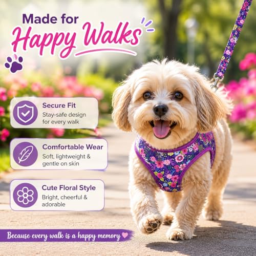 Moonpet Step in Dog Harness Leash Set- All Weather Reflective No-Pull Floral Pattern Padded Mesh Vest Harness for Cats Pup...