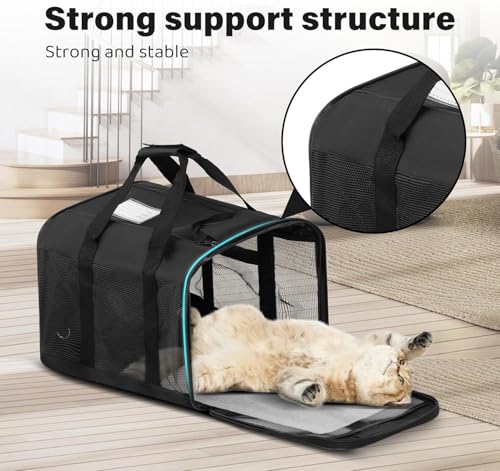 Simple Deluxe Airline-Approved Cat Carrier, 17" x 12" x 12", Soft-Sided Pet Carrier for Cats up to 17 lbs, Durable & Colla...