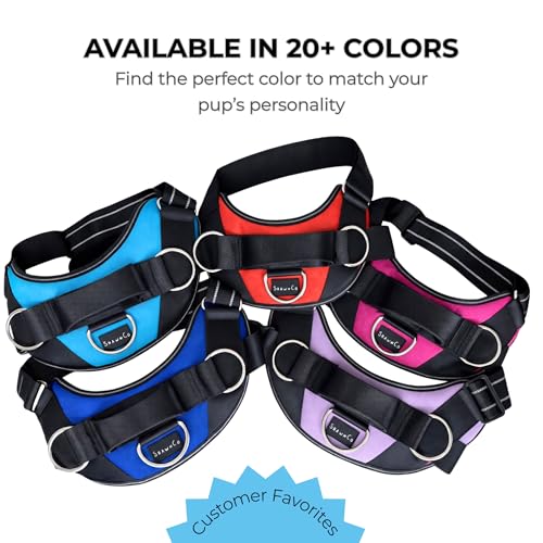 ShawnCo Essential Dog Harness, No-Pull Pet Vest with 3 Leash Clips, No Choke, Reflective, Adjustable and Padded, for Easy ...