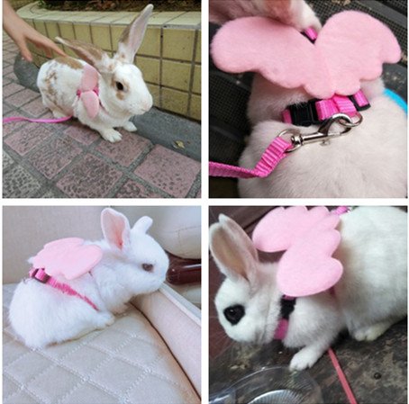 Hypeety Rabbit Harness and Leash Set Escape Proof - Adjustable Bunny Vest Harness for Rabbits with Cute Angel Wings Design...
