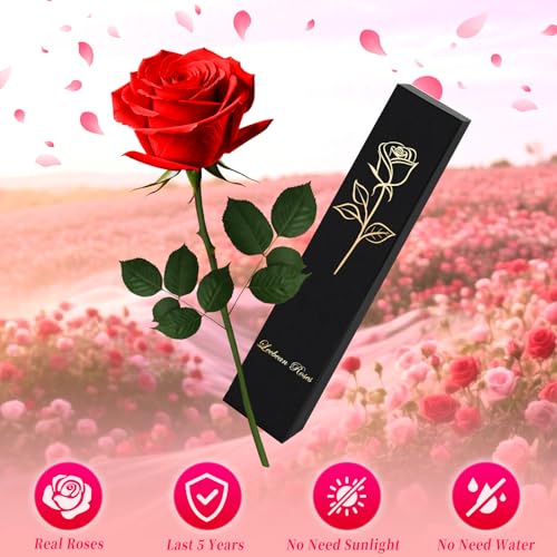 Leebean Single Forever Roses Luxury Gift for Women/Men, Birthday Gifts for Women,Flowers Gifts for Girlfriend,Wife,Mom,Ann...