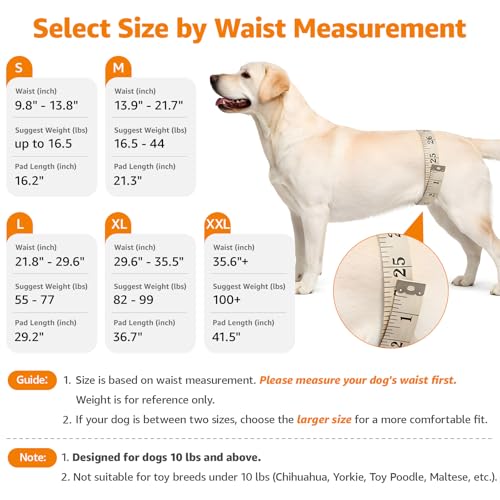 LOOBANI Portable Dog Sling for Back Legs, Hip Support Harness to Help Lift Rear for Canine Aid Old K9 Cruciate Ligament Re...