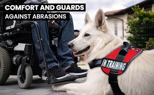 Service Dog in Training Vest - Adjustable No Pull Dog Harness with Patches. in Training Dog Vest for Service Dogs Small, M...