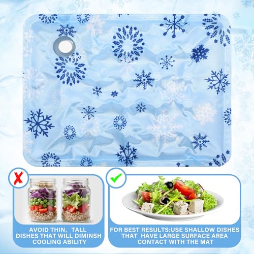 LemonRoad 2 Pack Reusable Freezable Ice Mat Sheets for Coolers Ice Mat Chill for Food Trays Cooling Charcuterie Cooler Bla...