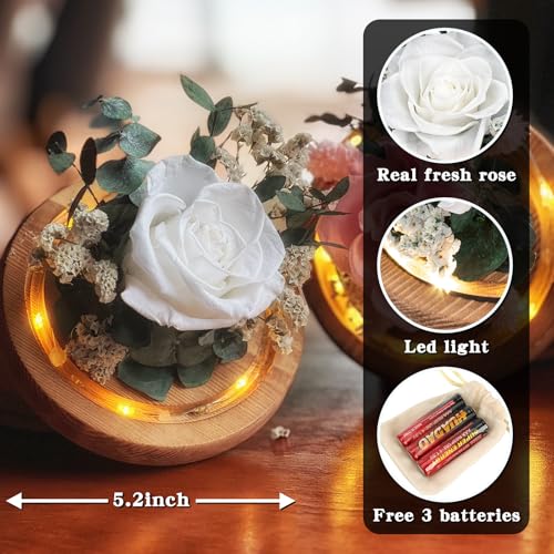 Regalo Flor Preserved Roses & Preserved Flowers Gift for Women, Roses that Last Forever, Flowers for Delivery Prime, White...