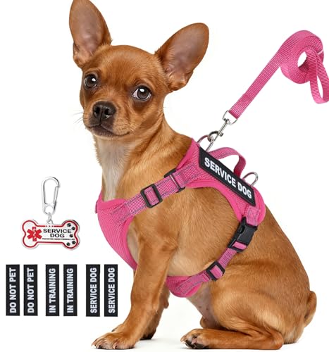 Service Dog Vest for Small Breed Dogs with ID Tag – Lightweight Puppy Harness and Leash Set with 6 PCS Patches, Ideal Serv...