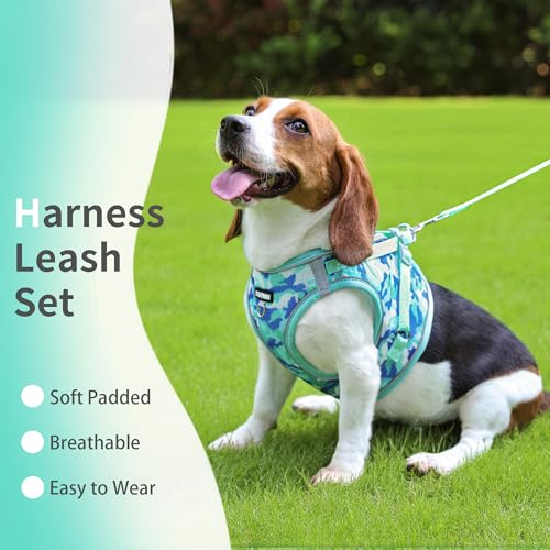Jolifield Step in Dog Harness with Leash Set, Adjustable Soft Padded and Breathable Mesh for Small Sized Dog, Reflective N...