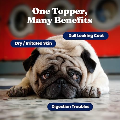 Solid Gold Cat & Dog Multivitamin Powder - Kelp Powder, Omega 3 & Vitamins for Dental, Digestive, Immune, Skin & Coat Heal...