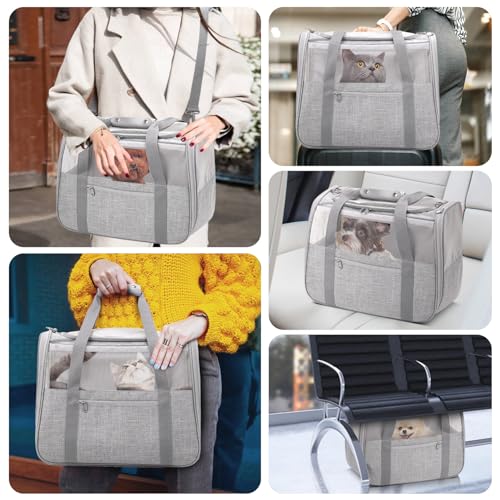 JUNGYOUN Premium Cat Carrier - Pet Carrier for Cat & Small Dogs up to 15lbs - Airline Approved Travel Dog Carrier with ...