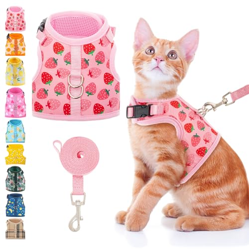 BINGPET Cat Harness and Leash Set Escape Proof, Fashionable Adjustable Mesh Harness for Walking, Soft Cute Breathable Easy...